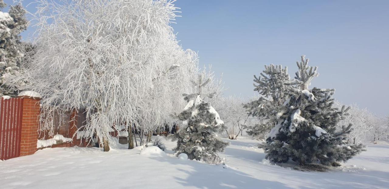 Bialowolskie Wzgorze Zamość Dış mekan fotoğraf