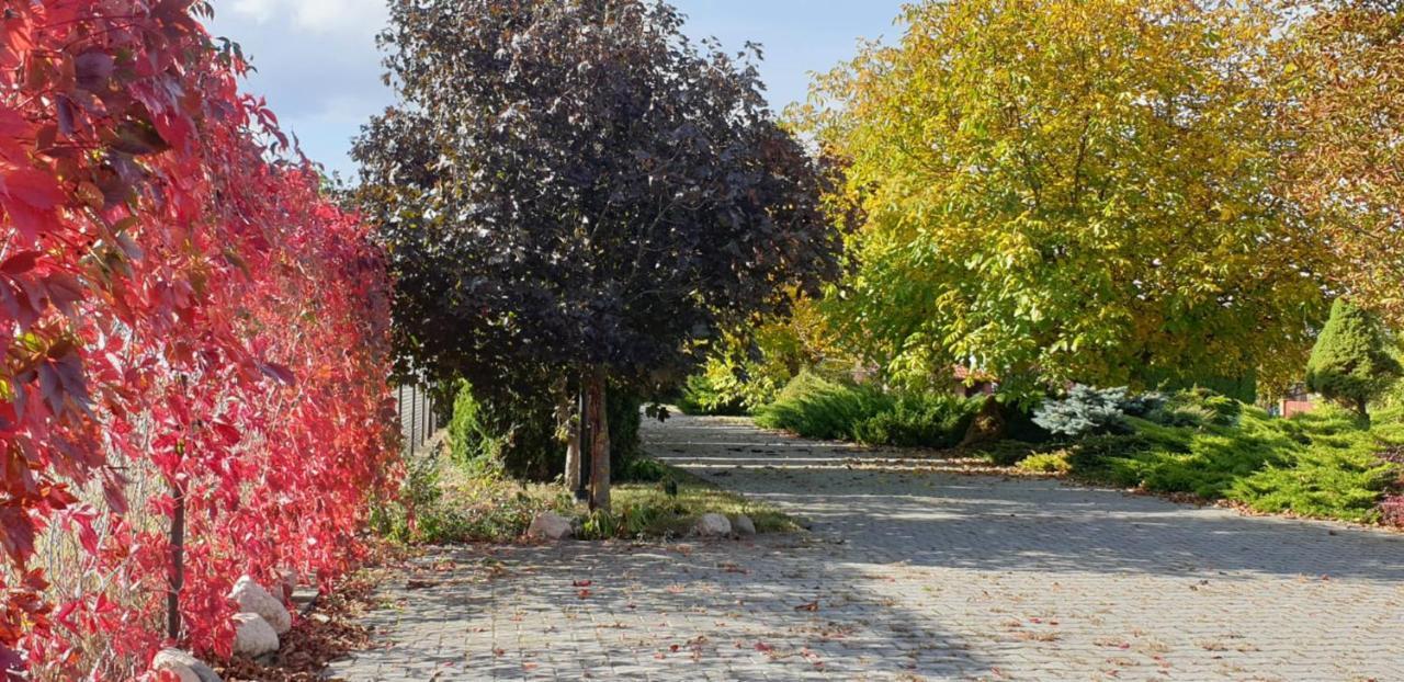 Bialowolskie Wzgorze Zamość Dış mekan fotoğraf